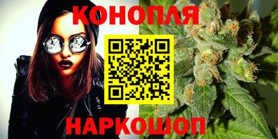 индика Шебекино