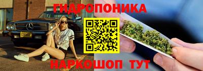 ешки Шелехов