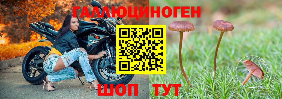 Псилоцибиновые грибы мухоморы  Вход с VPN  Брянск 
