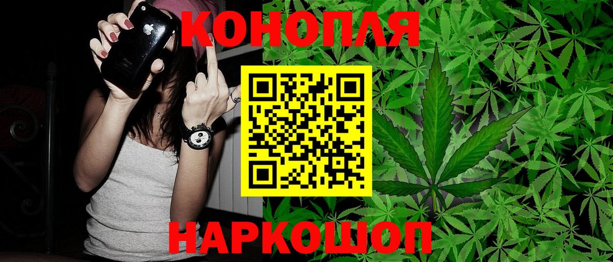 Бошки марихуана SATIVA & INDICA  Вход с VPN  Брянск  Канабис White Widow 